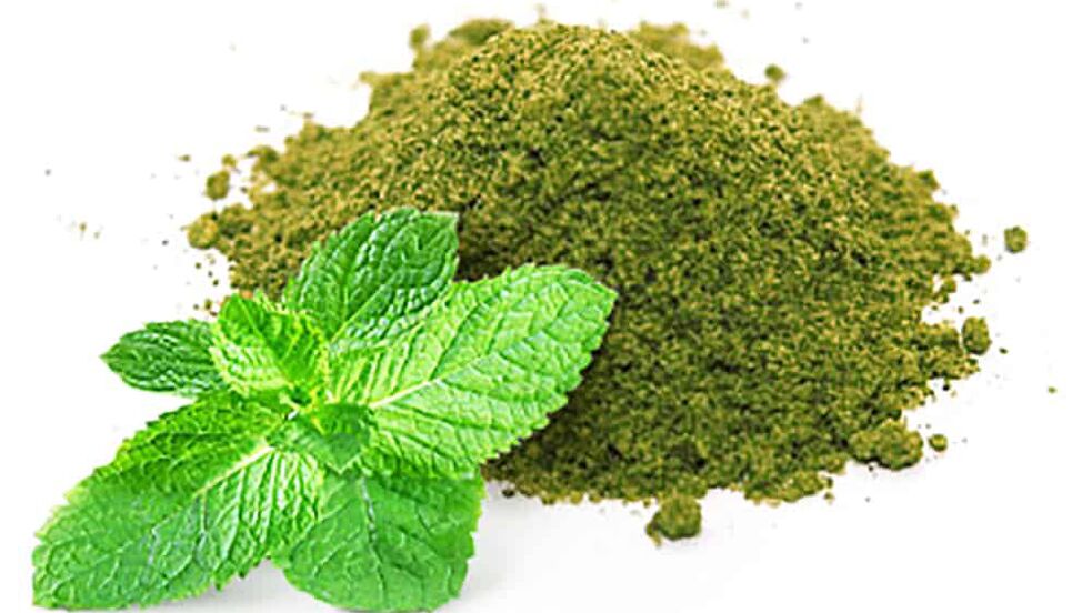 Nettle as part of Keto Black